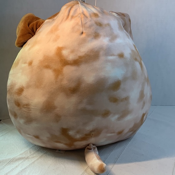 Squishmallow Bronk The Bulldog16“ Plush Kellytoy - Picture 5 of 8
